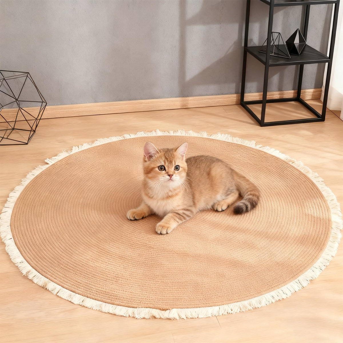 Xanadued cotton rope area rug with cat-scratch round design for cozy lounging