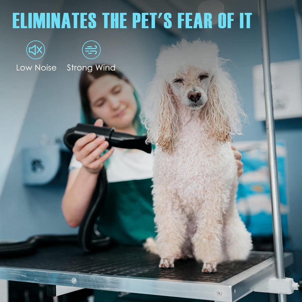 Xapigo Dog Dryer ergonomic design reduces handling fatigue during grooming.