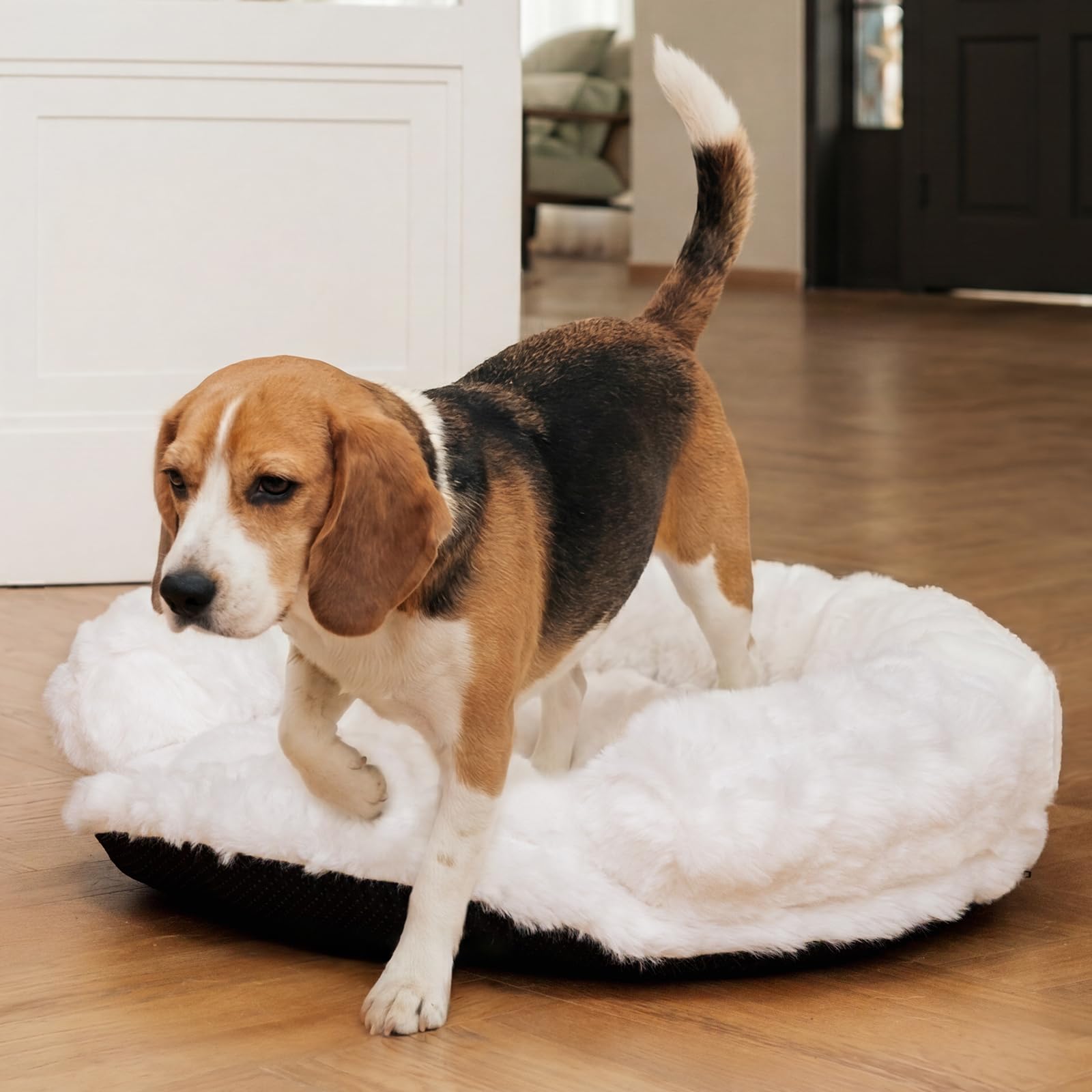Xavaro vacuum sealed packaging expands to fluff