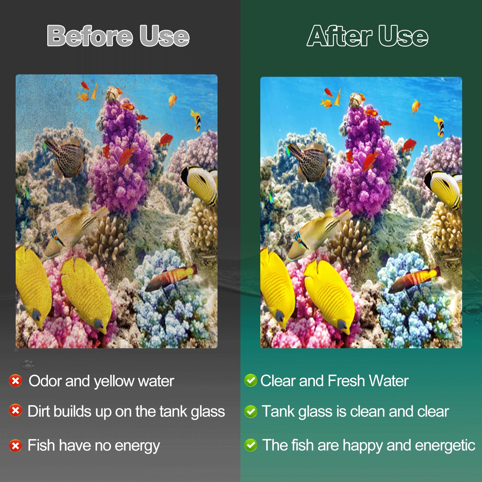 xbbwmrs aquarium water appears cleaner with enhanced filtration.