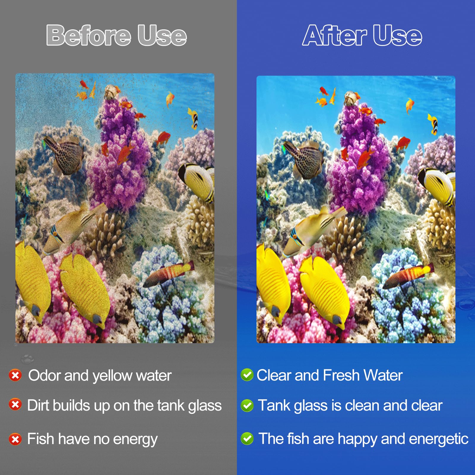 xbbwmrs large cartridge fit-in-filter demonstrates quick compatibility with Whisper models
