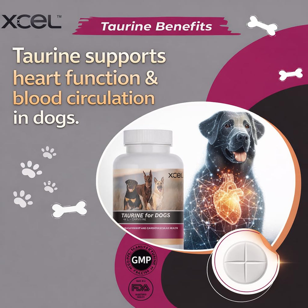 Eye health emphasis with XCEL Taurine for Dogs and L-Carnitine