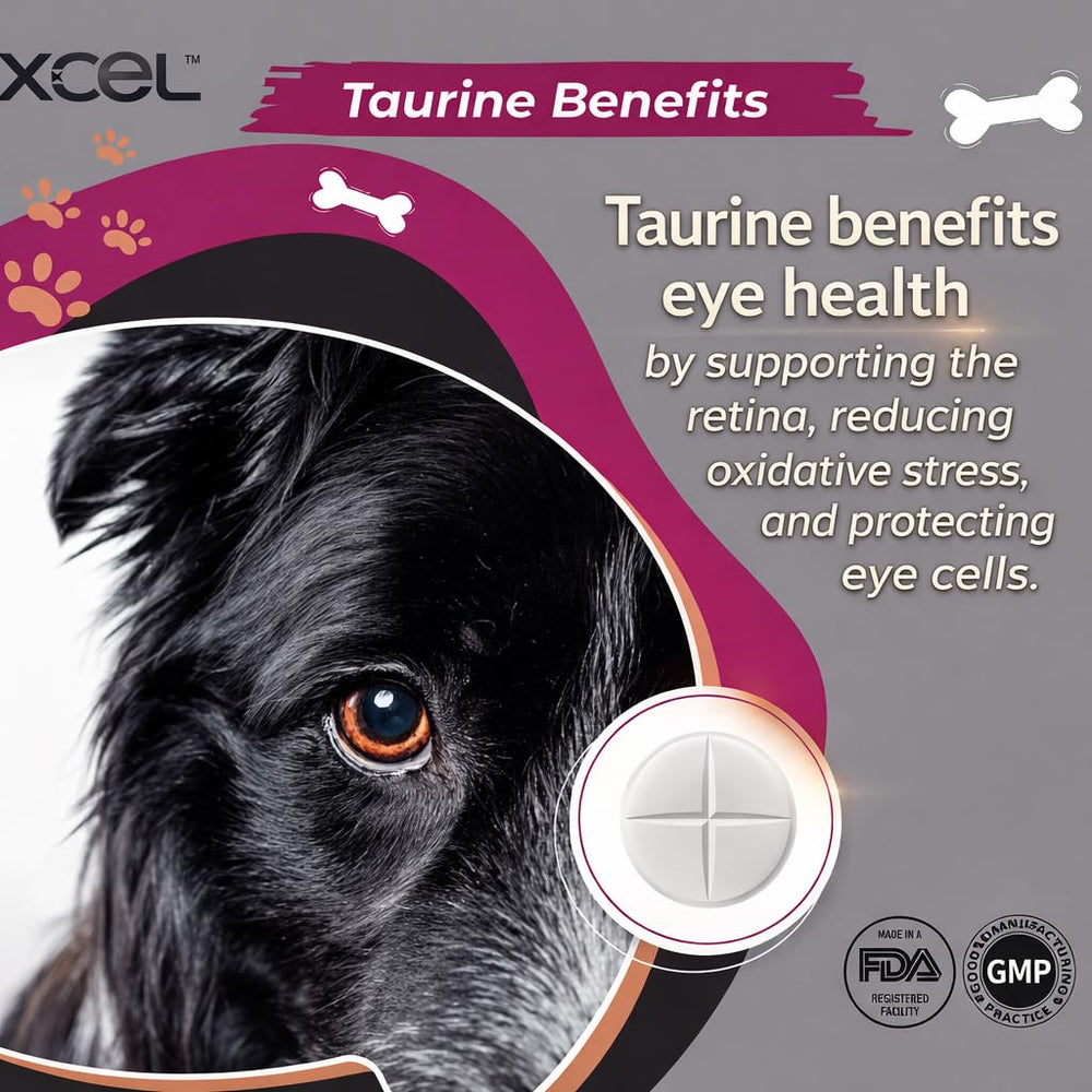 Ingredients and quality focus for XCEL Taurine for Dogs