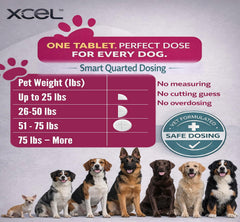 XCEL Taurine for Dogs quarter-dosed tablet split for 250 mg portions
