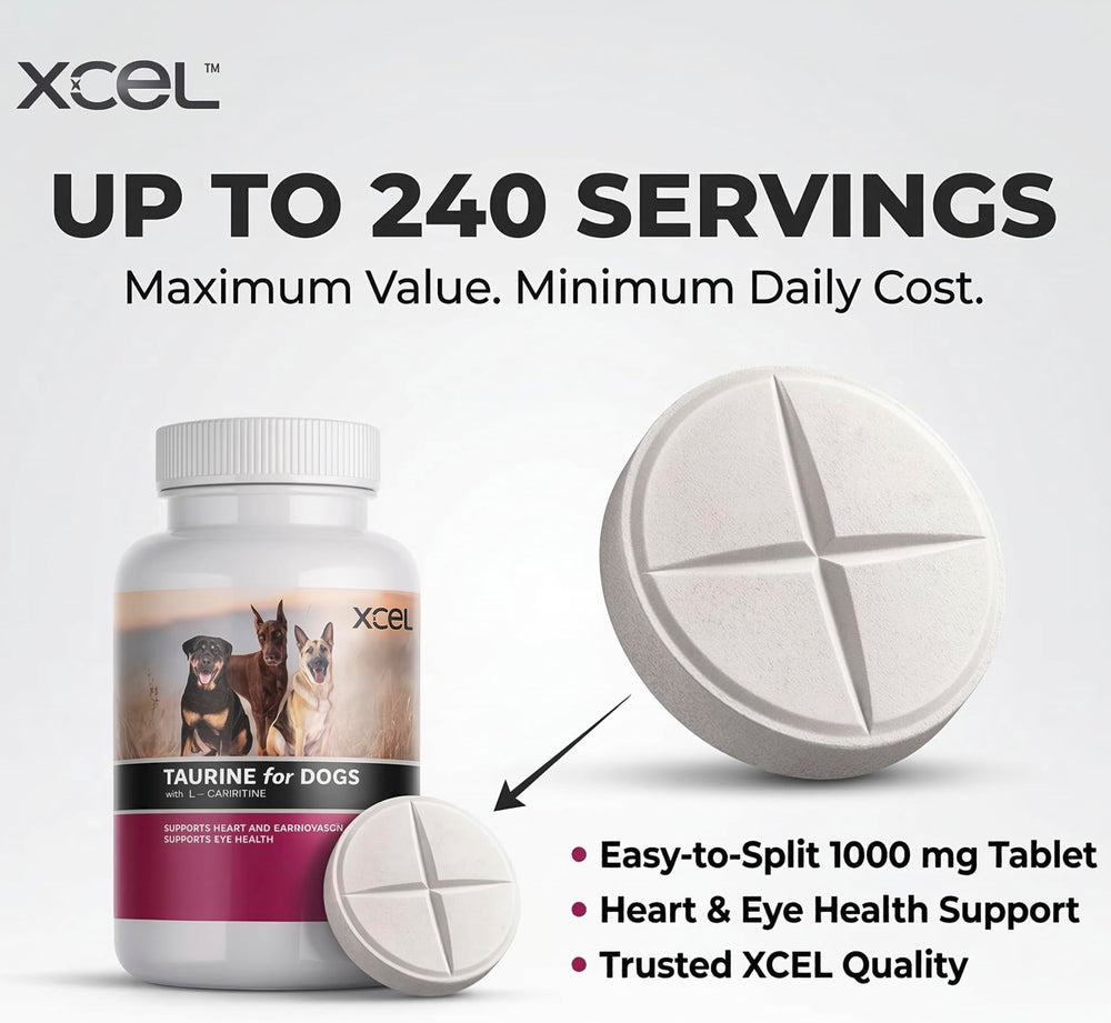 Close-up of XCEL Taurine for Dogs tablets showing cross-scored design
