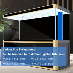 XCNO aquarium wallcover black vinyl backdrop enhances depth and reduces visible equipment