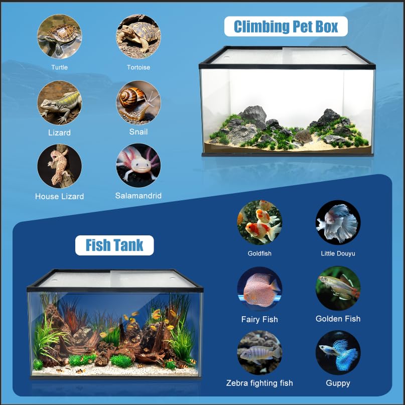 XDPET 29-gallon horizontal rectangle tank suits spacious aquascapes
