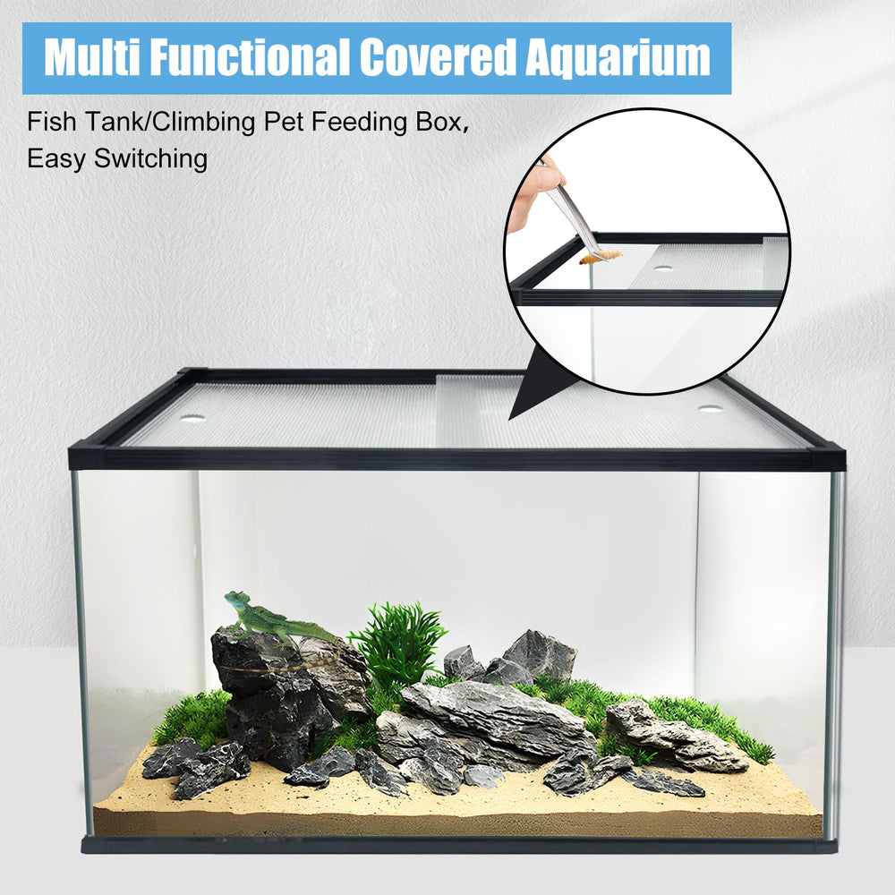 XDPET mirror-polished edge design enhances landscape reflections inside the tank