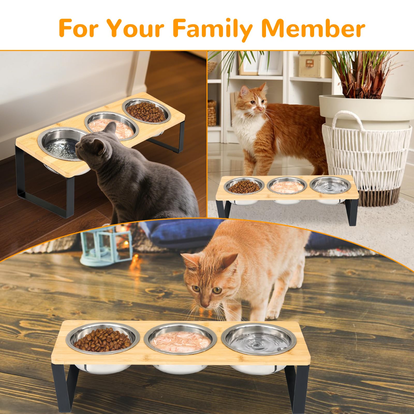 XDRKJDH multi-cat dining bowls for shared meals