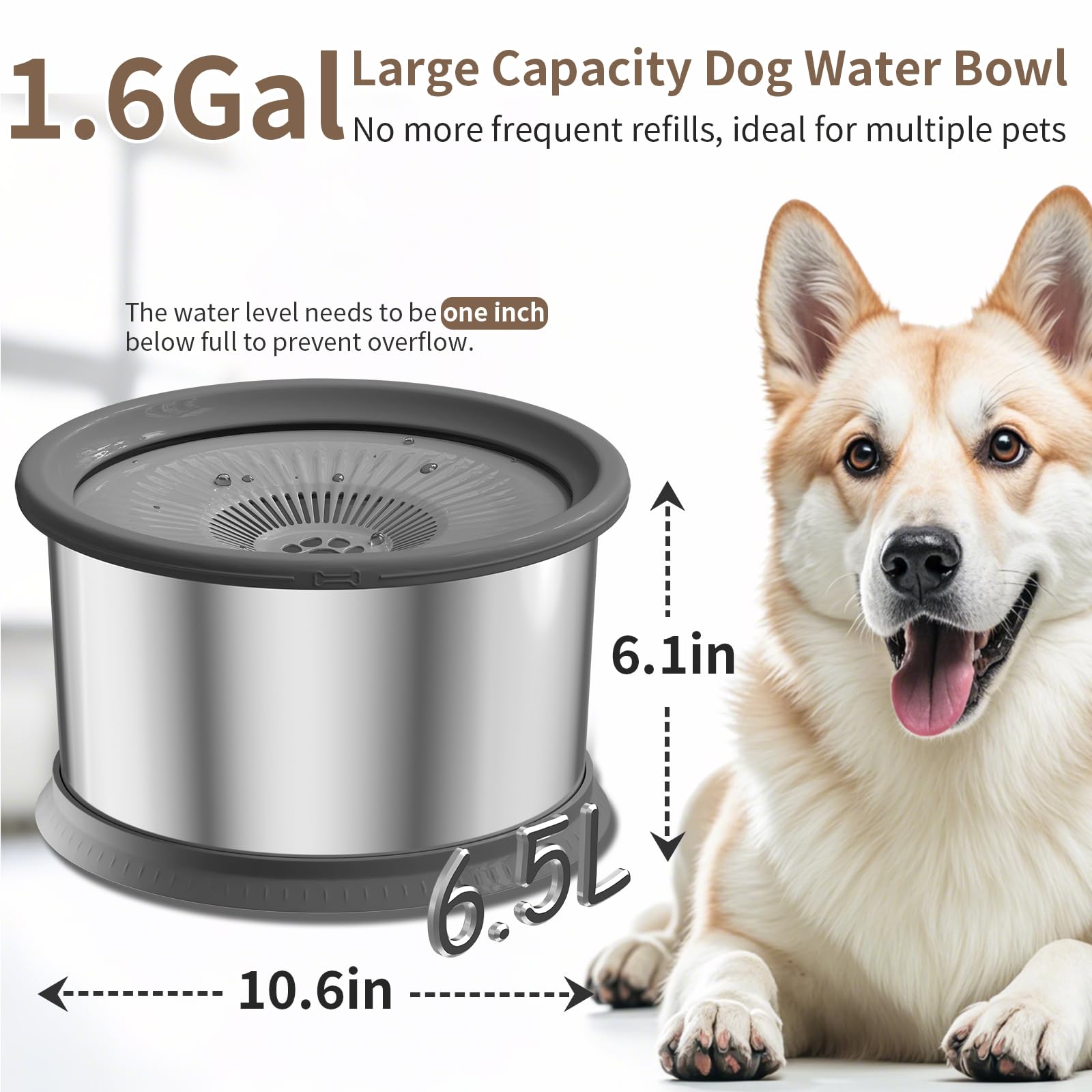 Xetino stainless steel dog water bowl from the side, durable and easy to clean