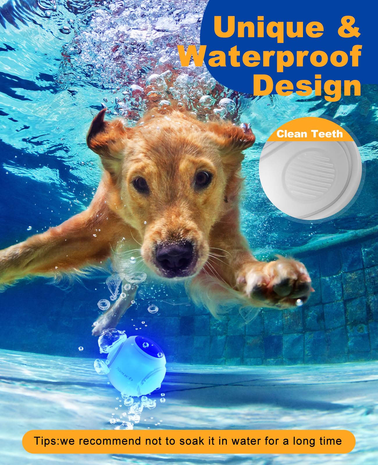 Xeuch blue night glow ball ideal for training and enrichment.