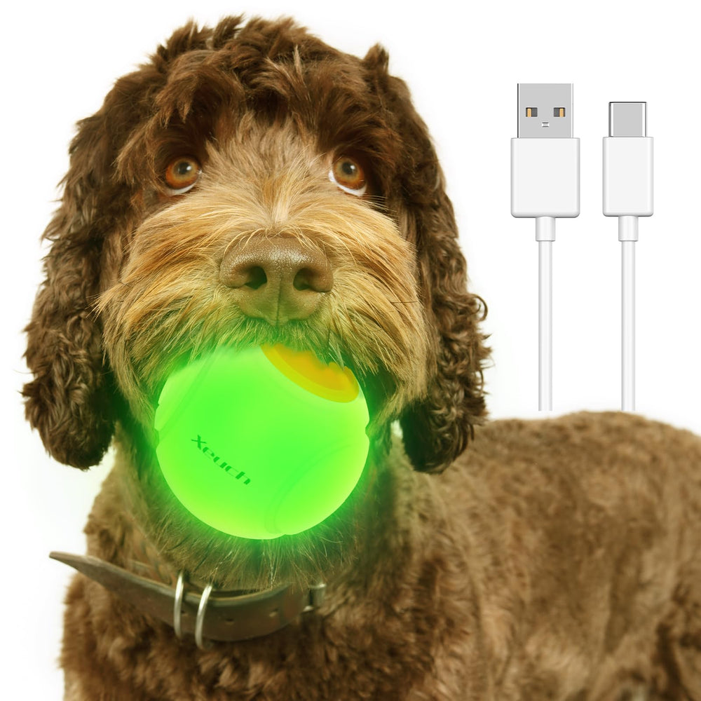 Xeuch LED dog ball in action during a daytime fetch.