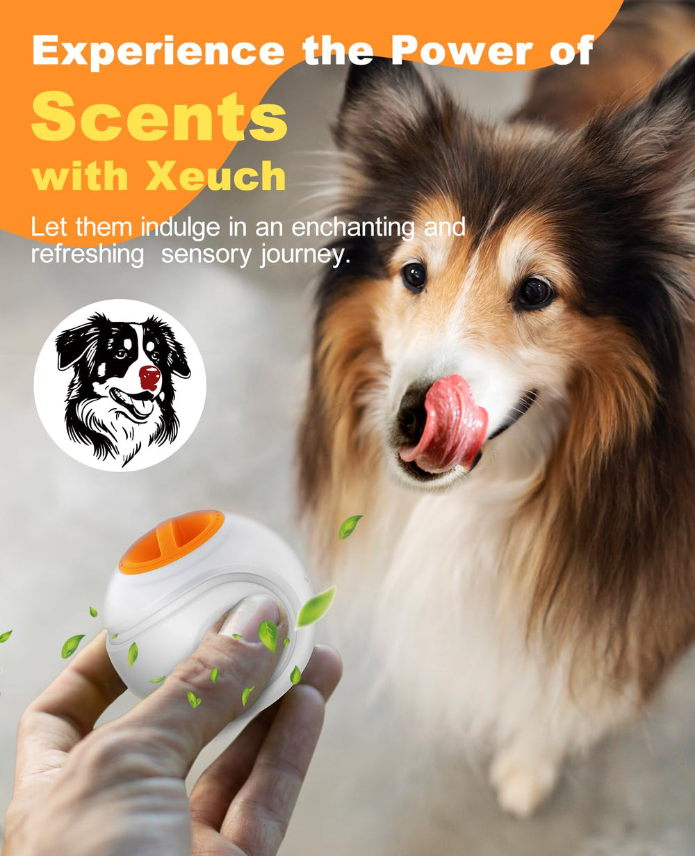 Xeuch 2.5 inch ball designed for small and medium dogs.