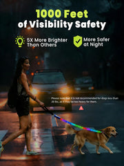 Xeuch light-up leash offers visibility up to 1000 feet for night safety