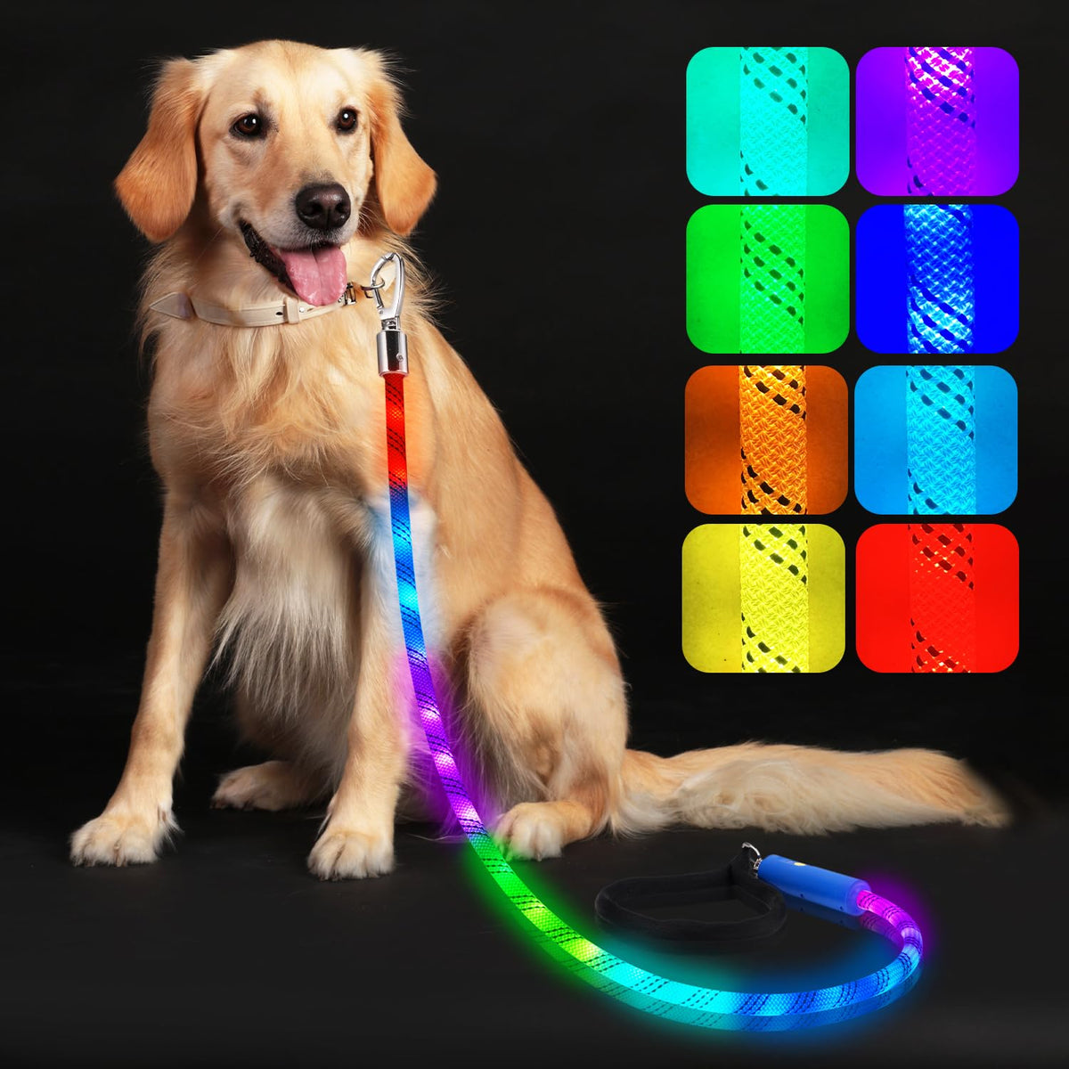 Xeuch light-up dog leash glows brightly for safer night walks