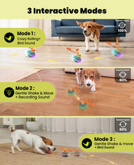 Xeuch motion activated dog toy starts chasing automatically during play.