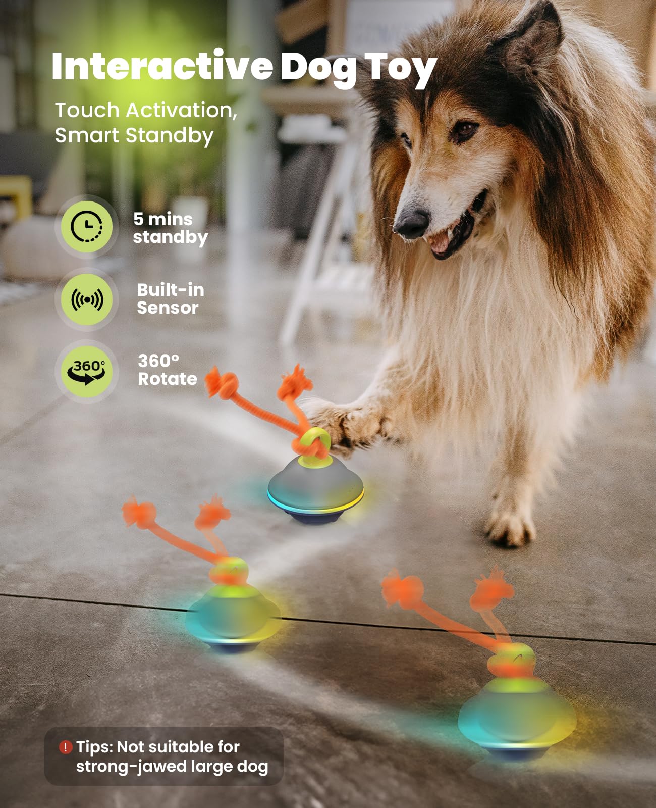 Xeuch rolling dog ball with rope for interactive fetch sessions.