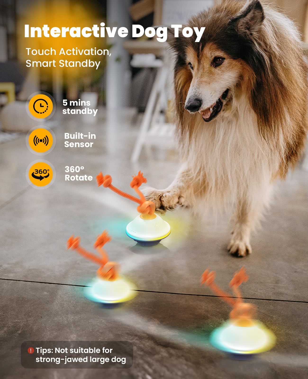 Xeuch LED light modes provide mood lighting for safe nighttime fun.