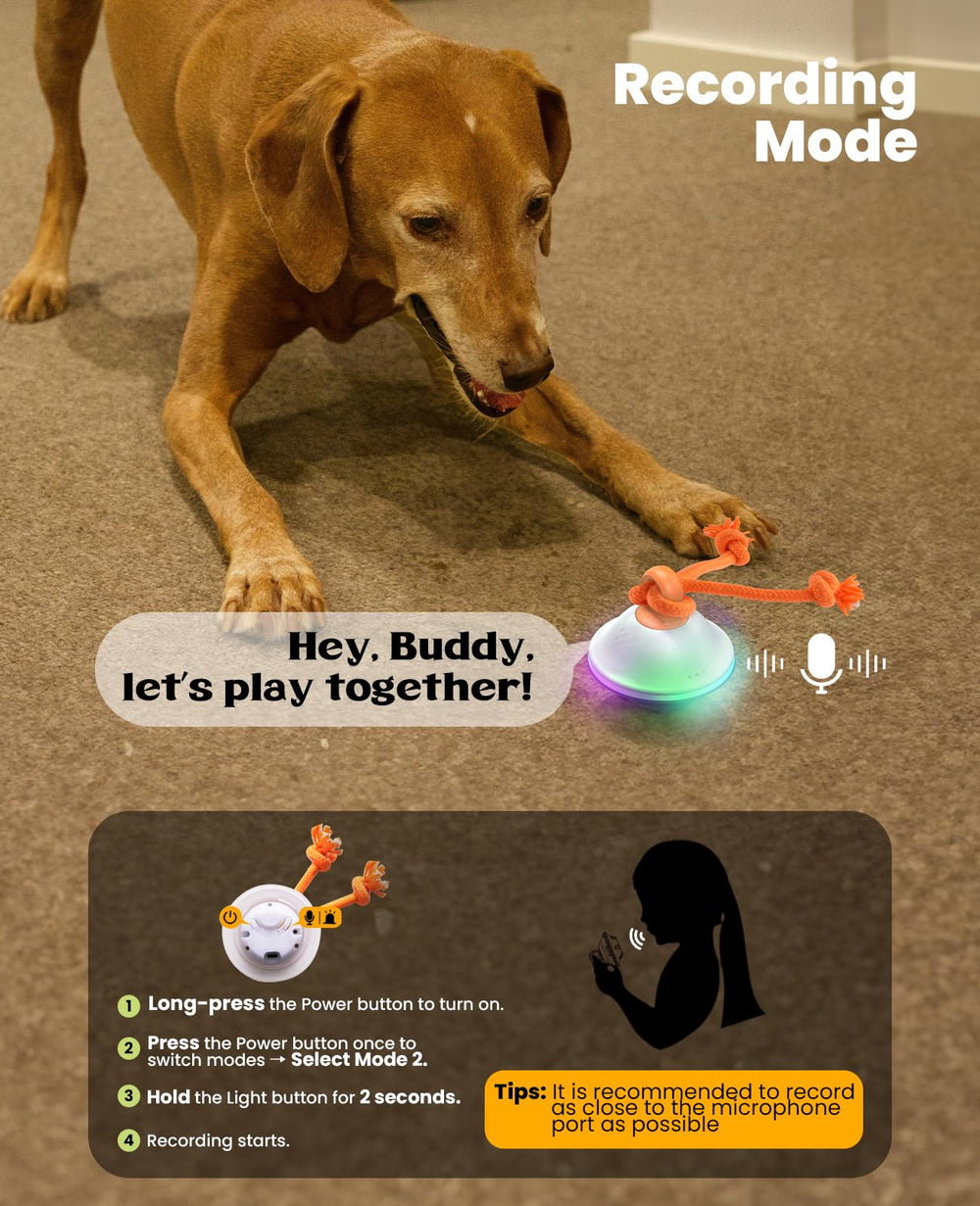 Xeuch quick charge Type-C powered dog toy lasts hours of play.