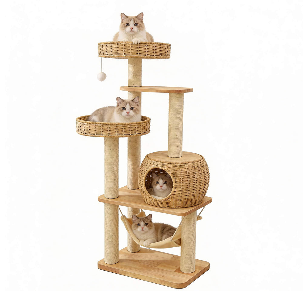 XFWKUTPE 55 inch wood cat tree top perch provides a commanding view and safe high lounging.