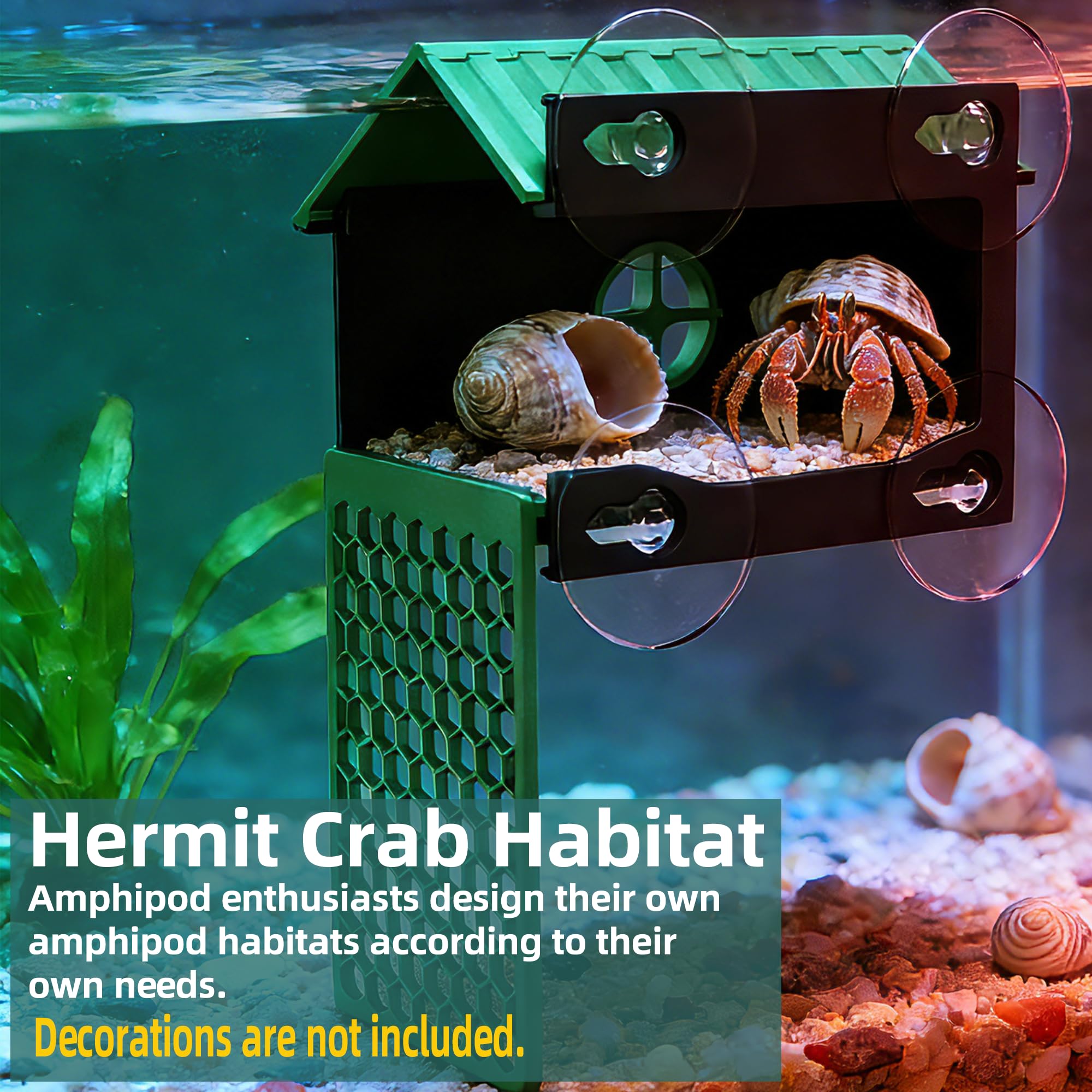 XIAOXINGYUN hermit crab climbing wall toy with panoramic viewing window enables unobstructed observation.