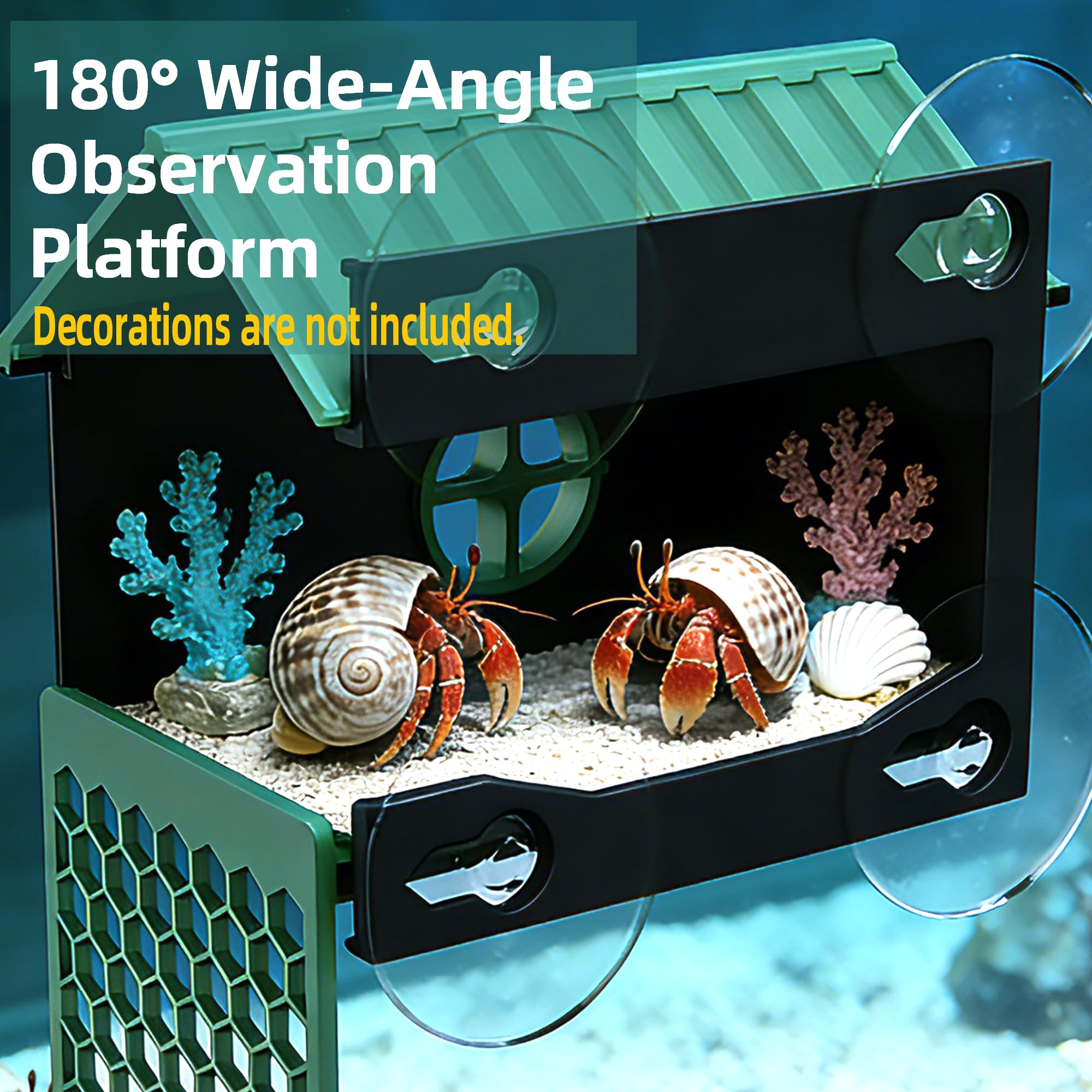 XIAOXINGYUN panorama viewing window lets you watch climbing and foraging without disturbance.