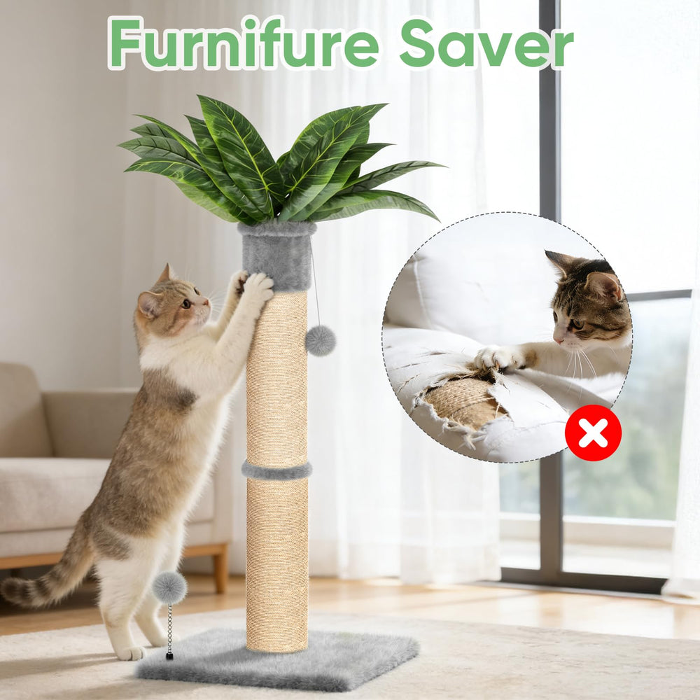 Two toy balls engage cats for long, interactive play sessions.
