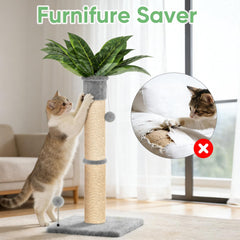 Two toy balls engage cats for long, interactive play sessions.