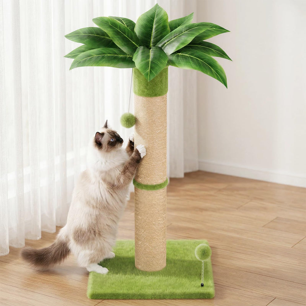 XiaZ cat scratching post base offers stable play for active cats.