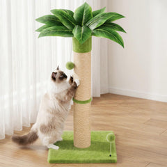 XiaZ cat scratching post base offers stable play for active cats.