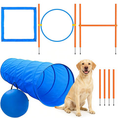 XiaZ Dog Agility Course Backyard Set, complete training kit for backyard fun and obedience