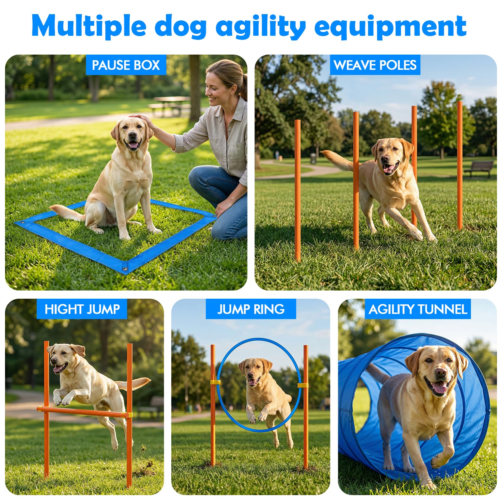 XiaZ Dog Agility Weave Poles to practice weaving with improved speed and accuracy