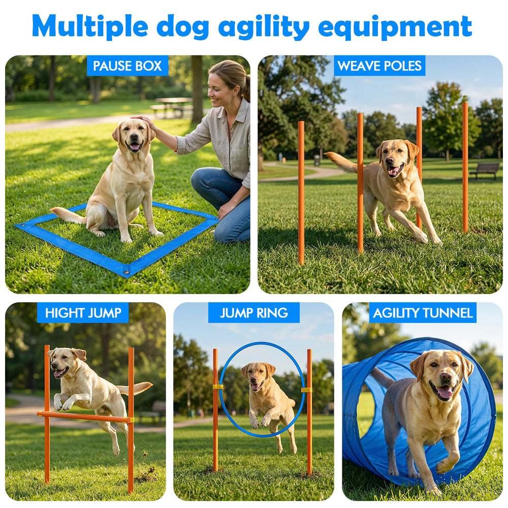 XiaZ Dog Agility Weave Poles to practice weaving with improved speed and accuracy
