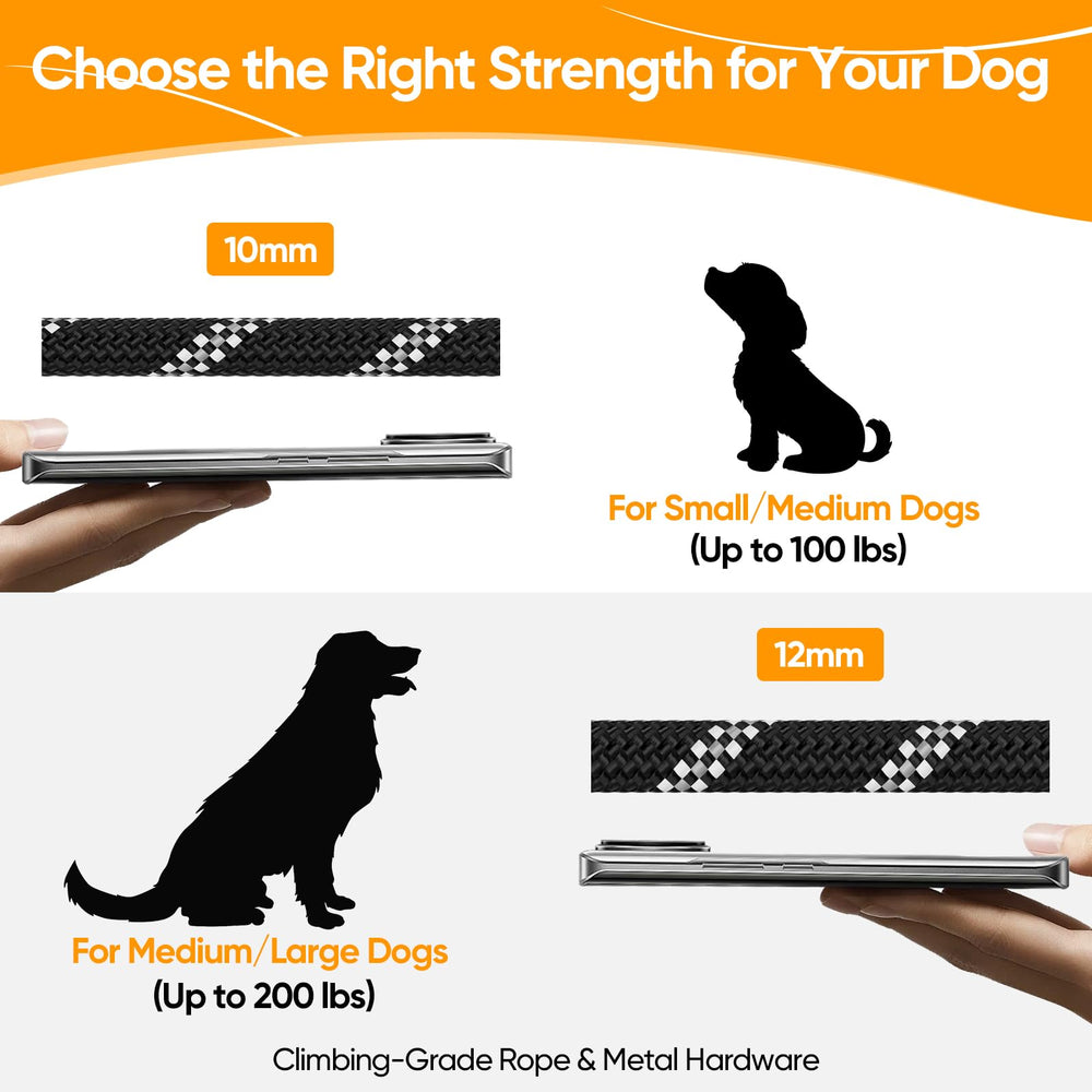 XiaZ leash keeps two dogs moving together on walks.