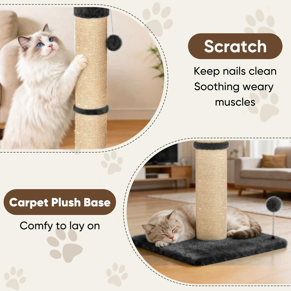 XiaZ dual toy balls for interactive cat play