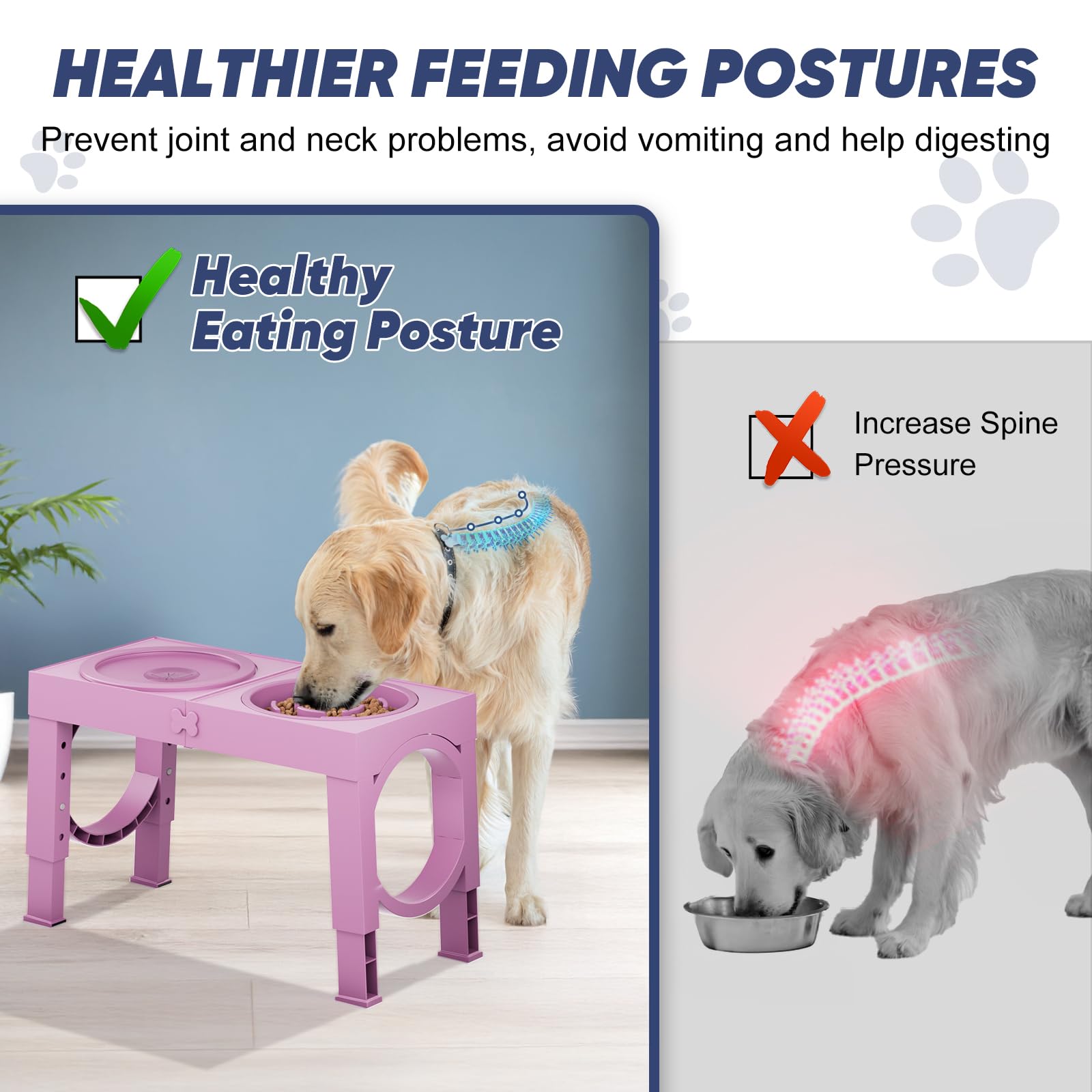 XiaZ anti slip base stabilizes bowls during meals