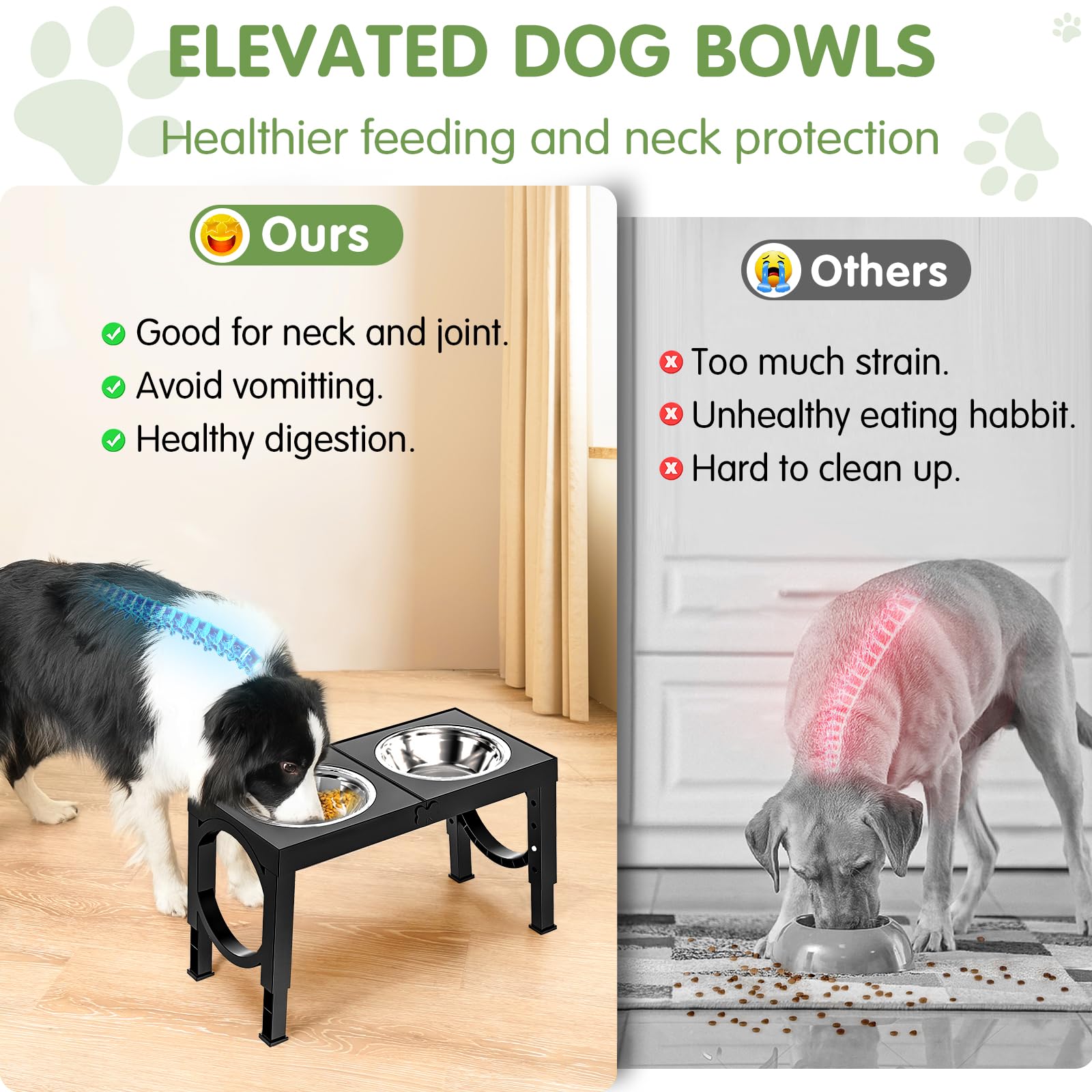 XiaZ dual stainless bowls provide water and food options with easy cleaning.