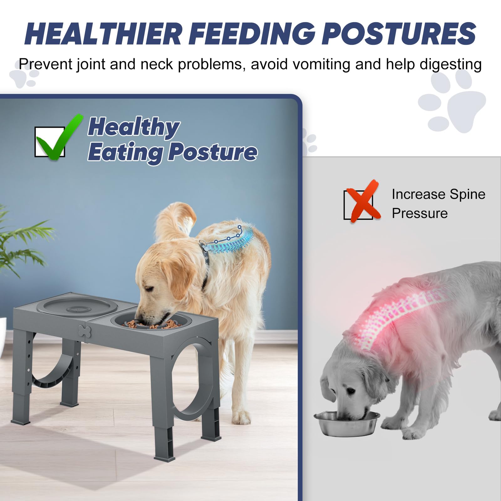 XiaZ height settings at five positions provide customizable feeding levels.
