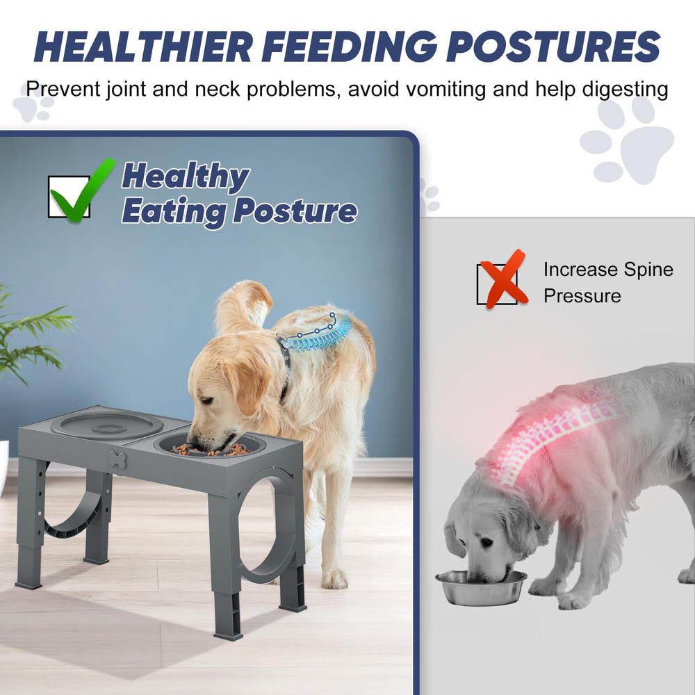 XiaZ height settings at five positions provide customizable feeding levels.