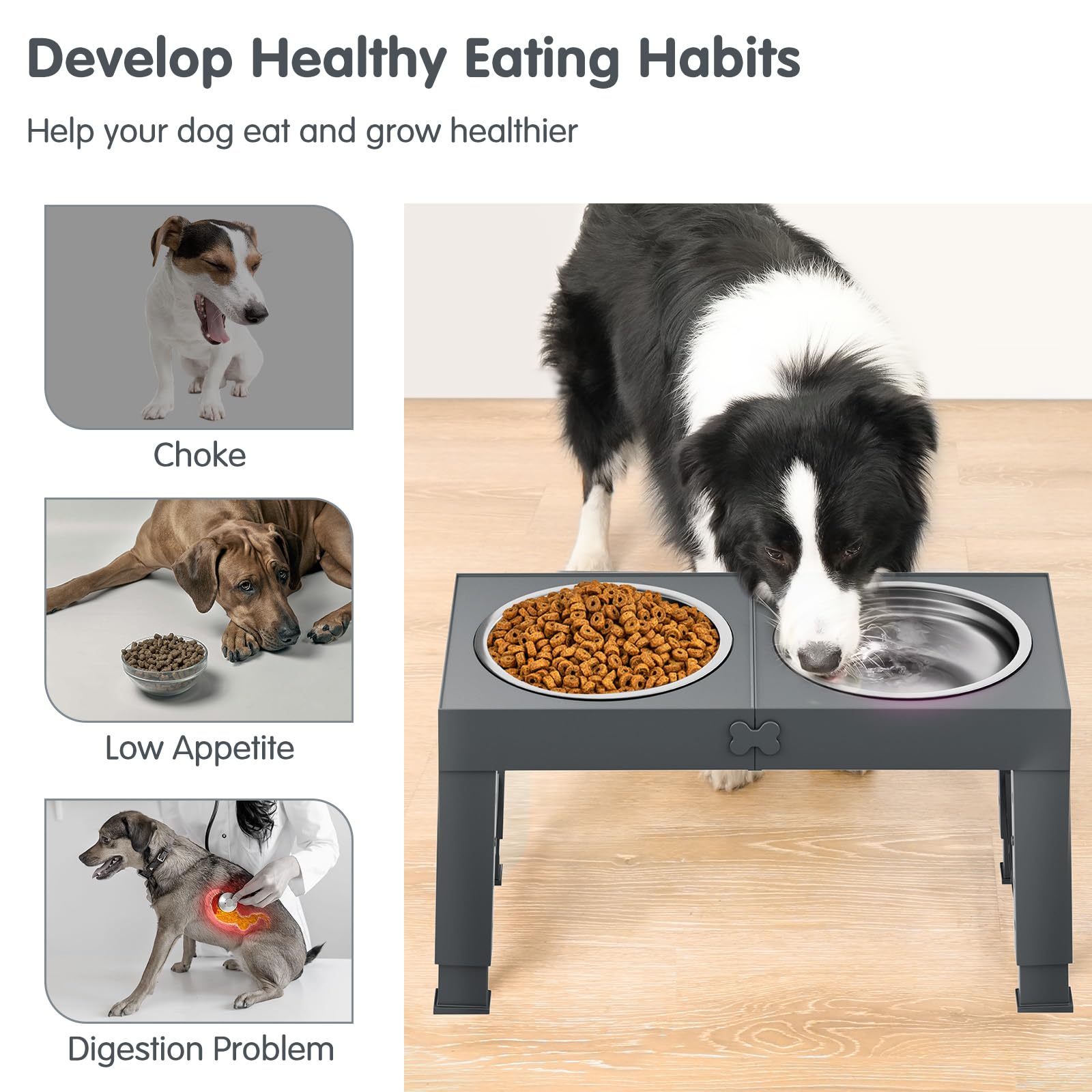 XiaZ height settings demonstrated on the bowl stand.