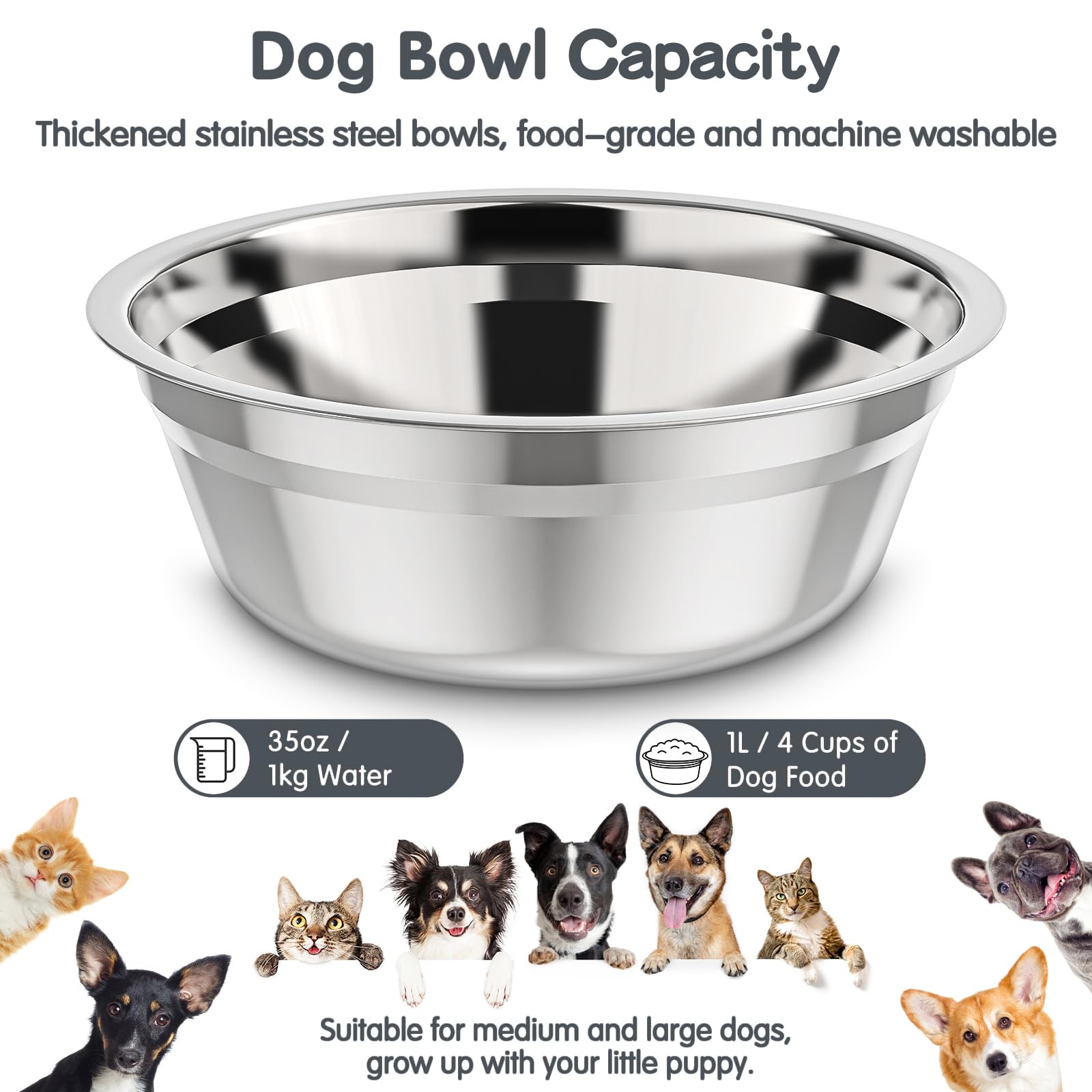 XiaZ stainless steel bowls fit securely on the elevated stand.