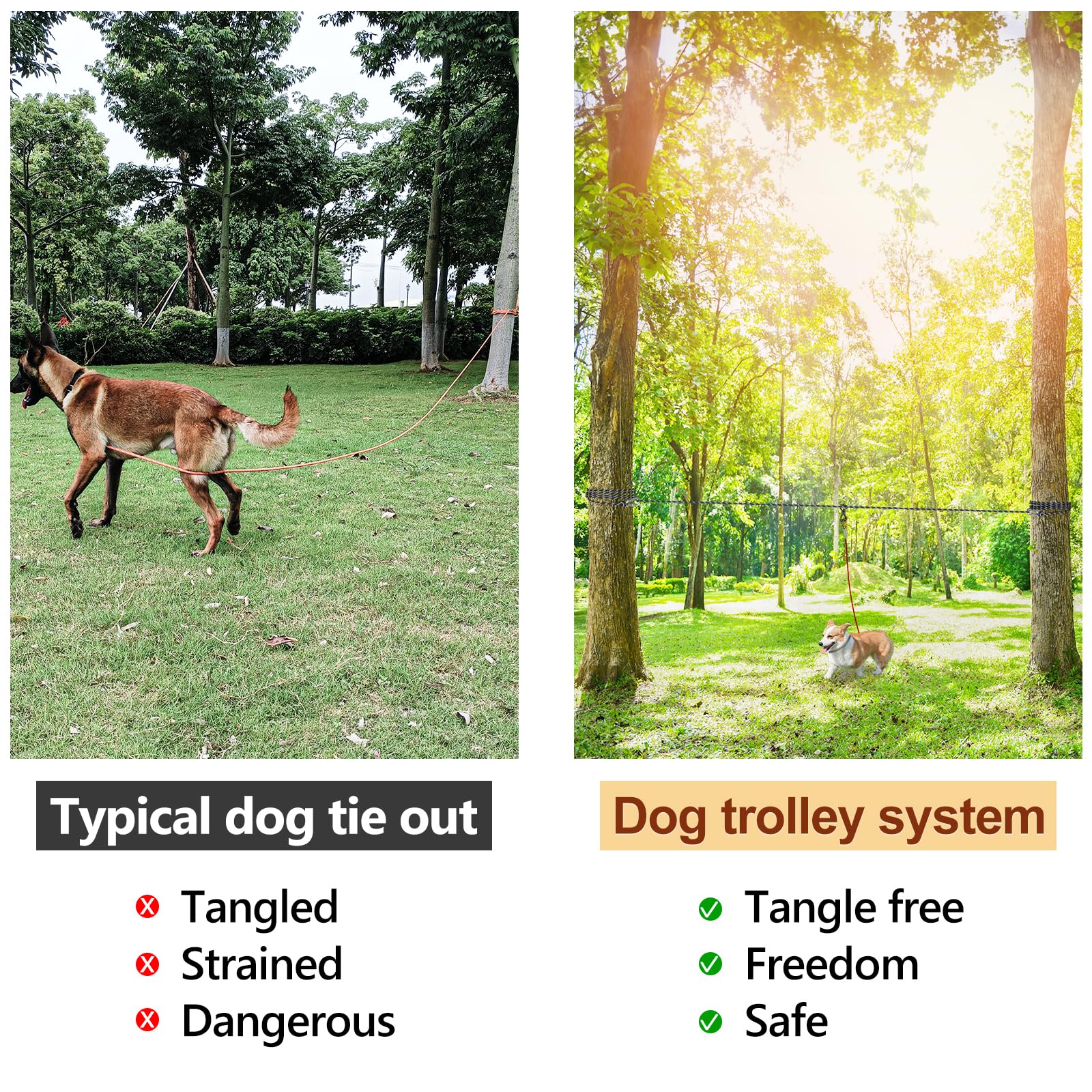 XiaZ heavy-duty steel clasps secure the 50ft leash.