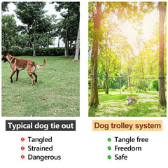 XiaZ heavy-duty steel clasps secure the 50ft leash.