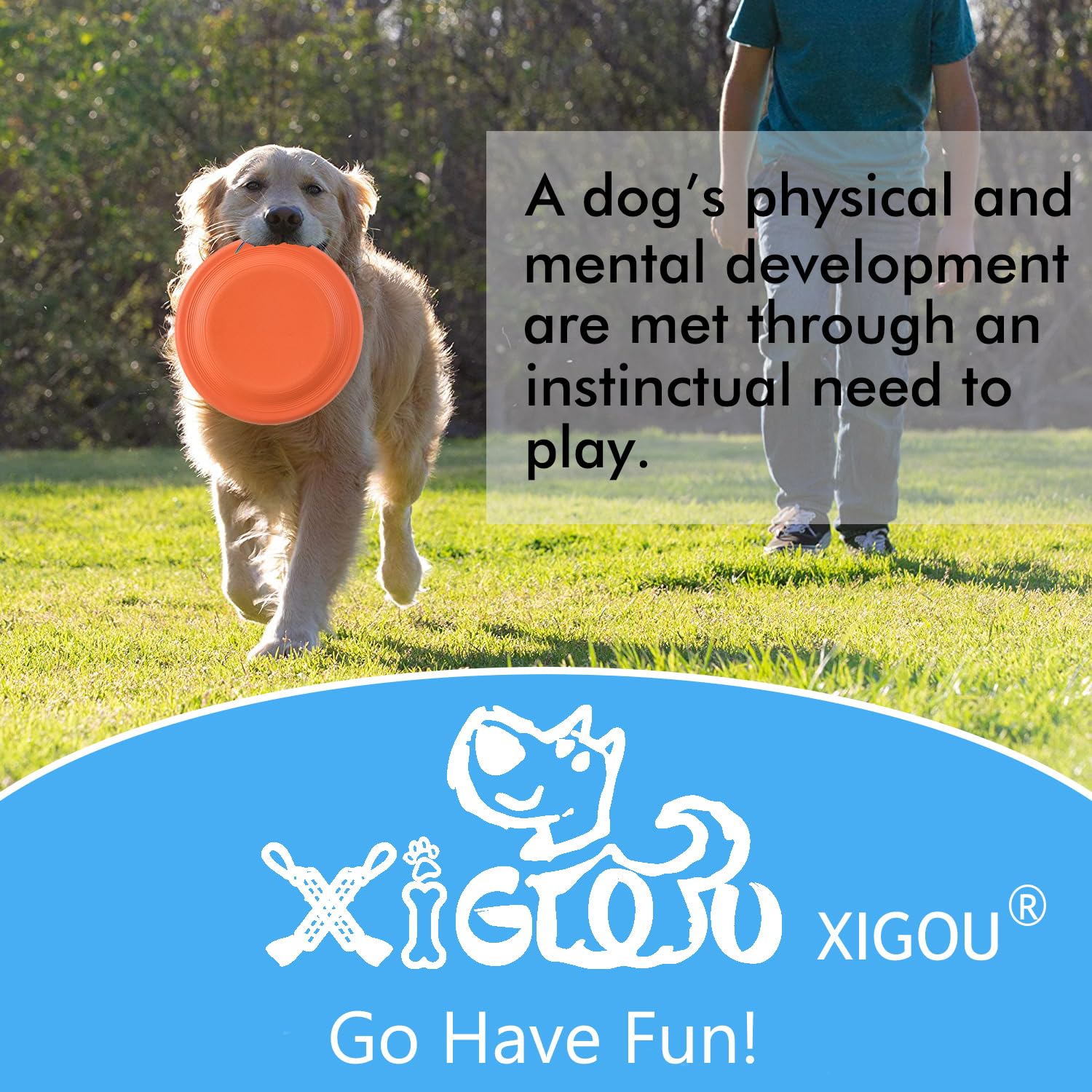 XIGOU travel-friendly disc doubles as a quick water bowl.