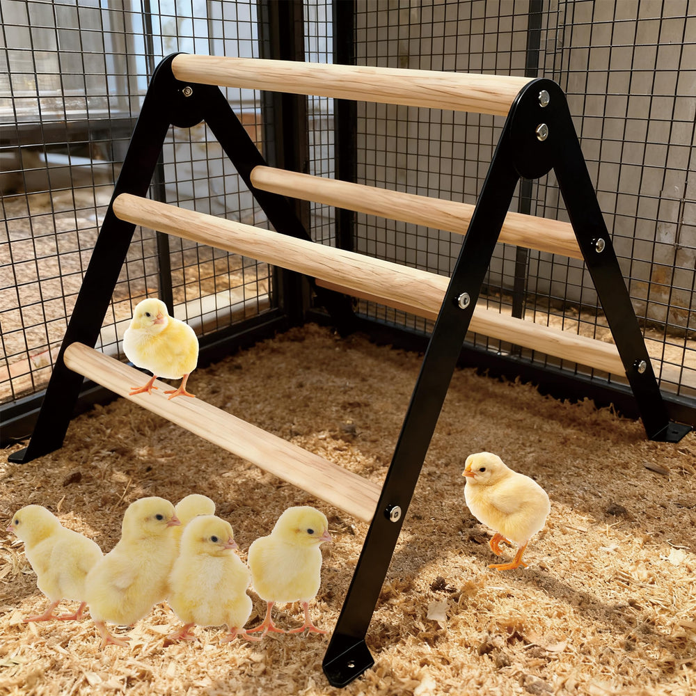XINYI multipurpose perch suitable for birds and reptiles in cages and coops.