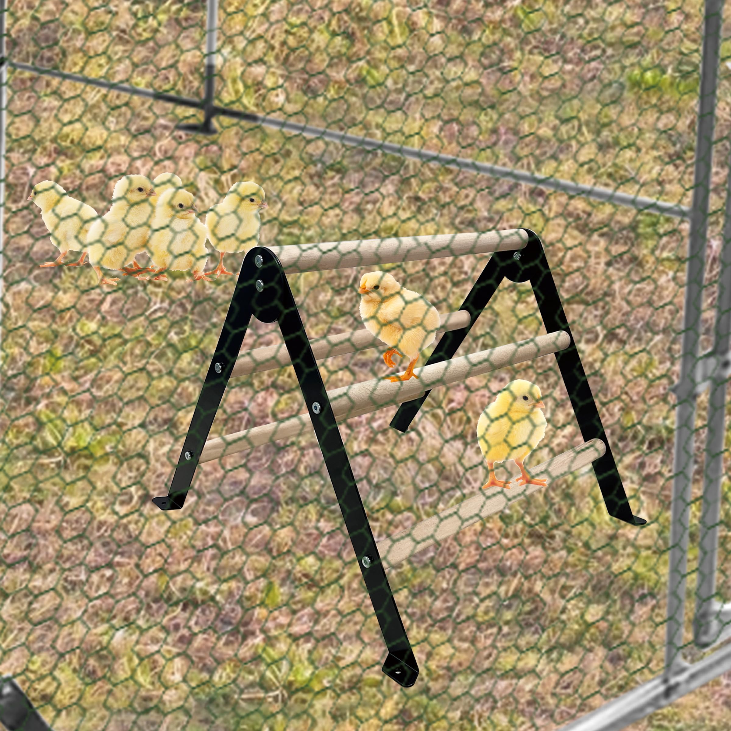 XINYI sturdy metal frame ensures stable roosting for daily bird activity.