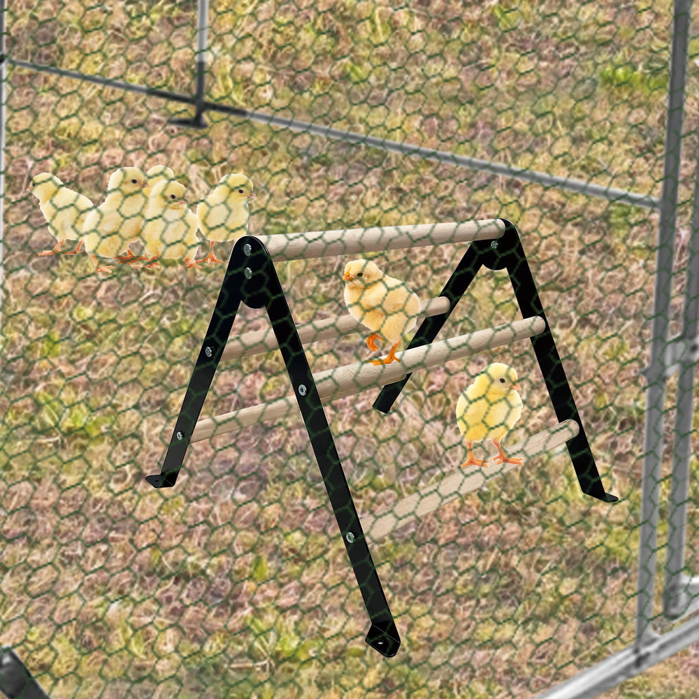 XINYI sturdy metal frame ensures stable roosting for daily bird activity.