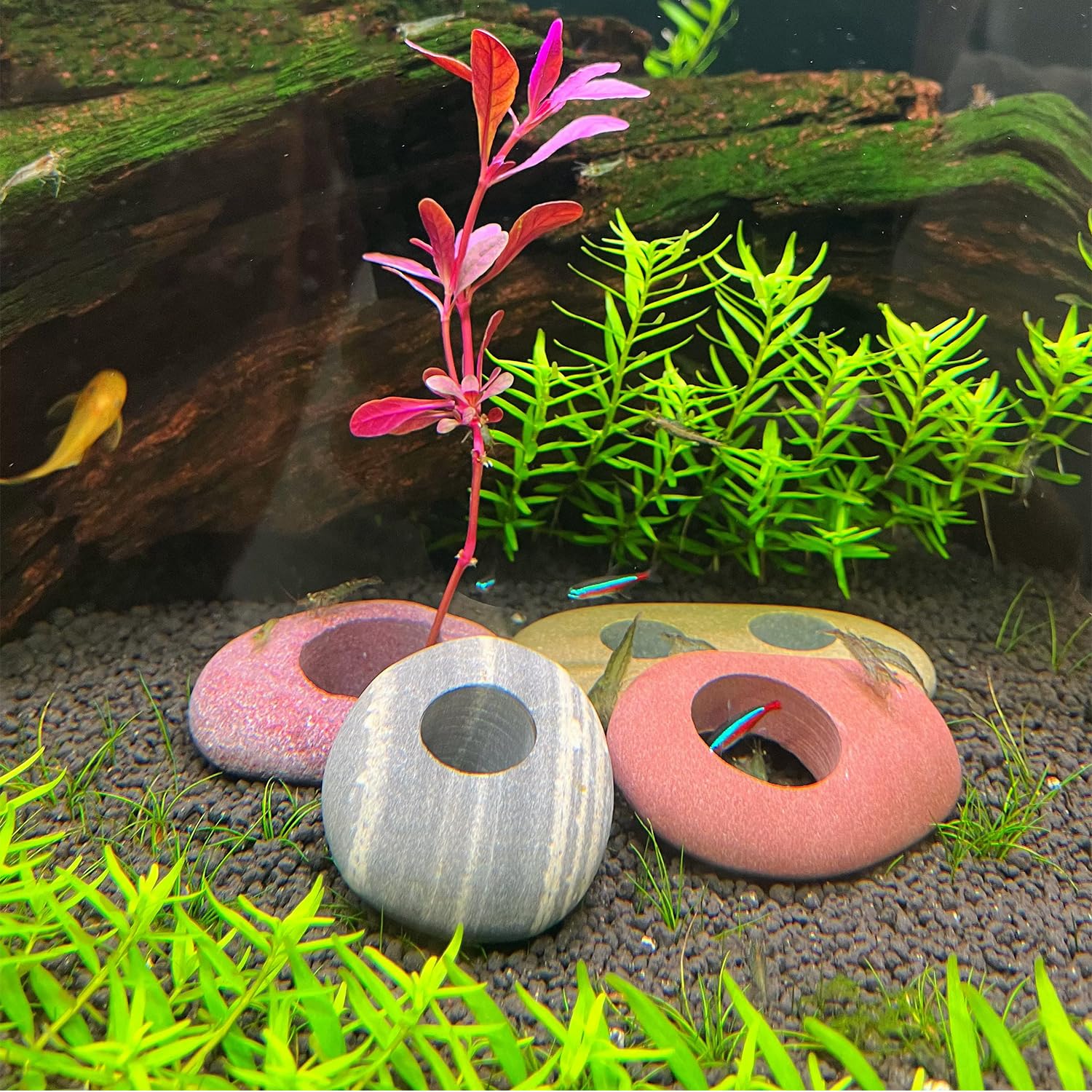 XIOFU aquarium decor natural stone blends with tank scenery