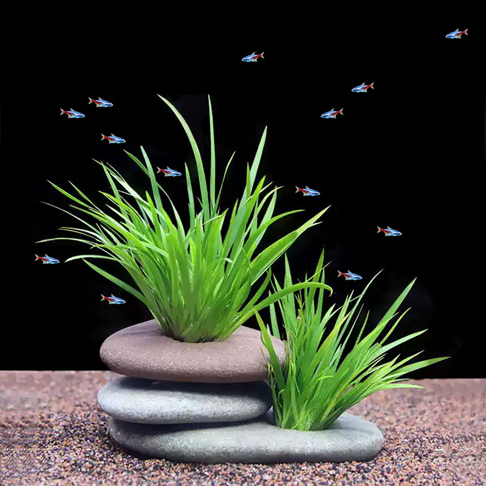 XIOFU landscape-ready weights for layered plant layouts
