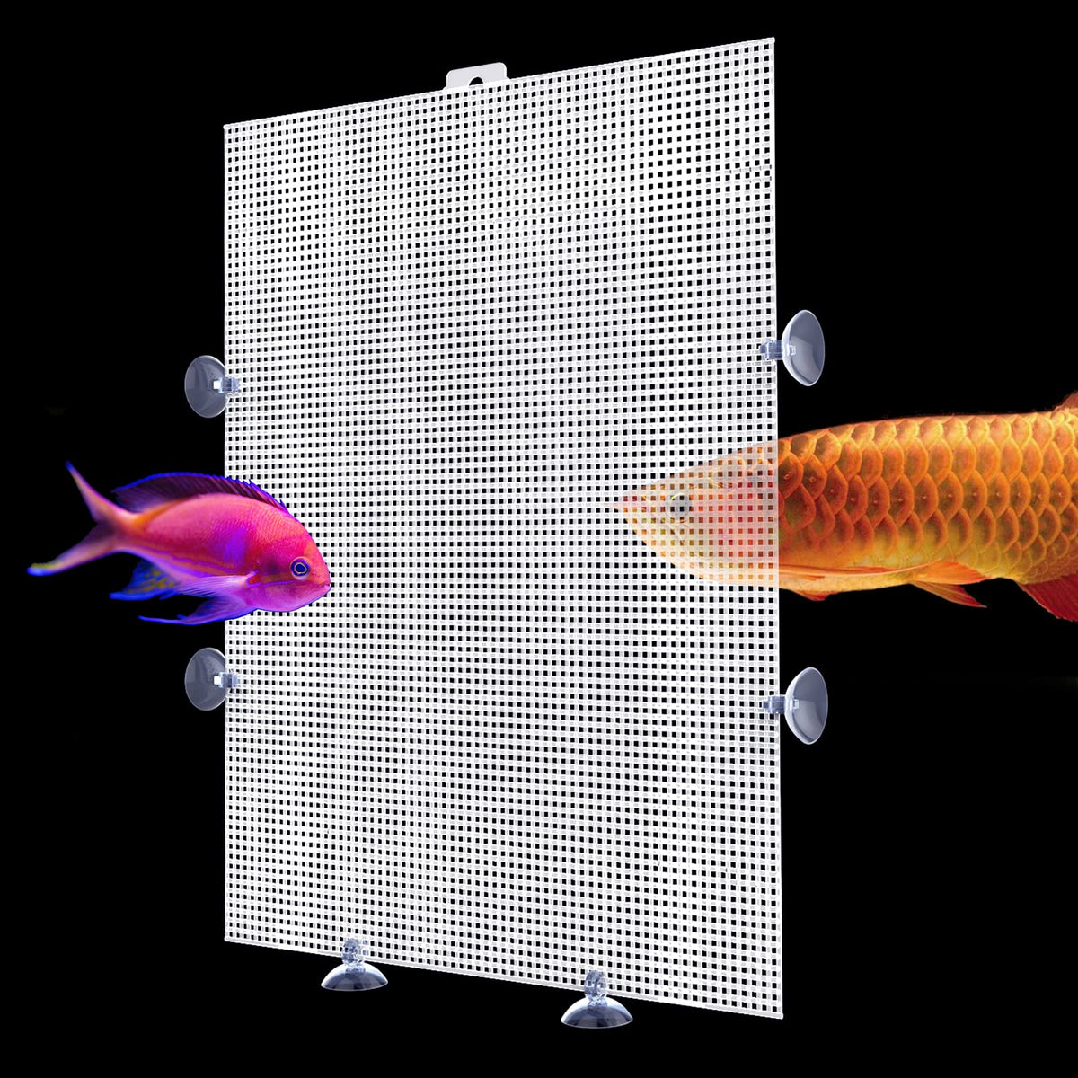 XiyaxiVici fish tank divider 17x13 in isolates fish while keeping a clear view.